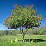 Appleseed Labs